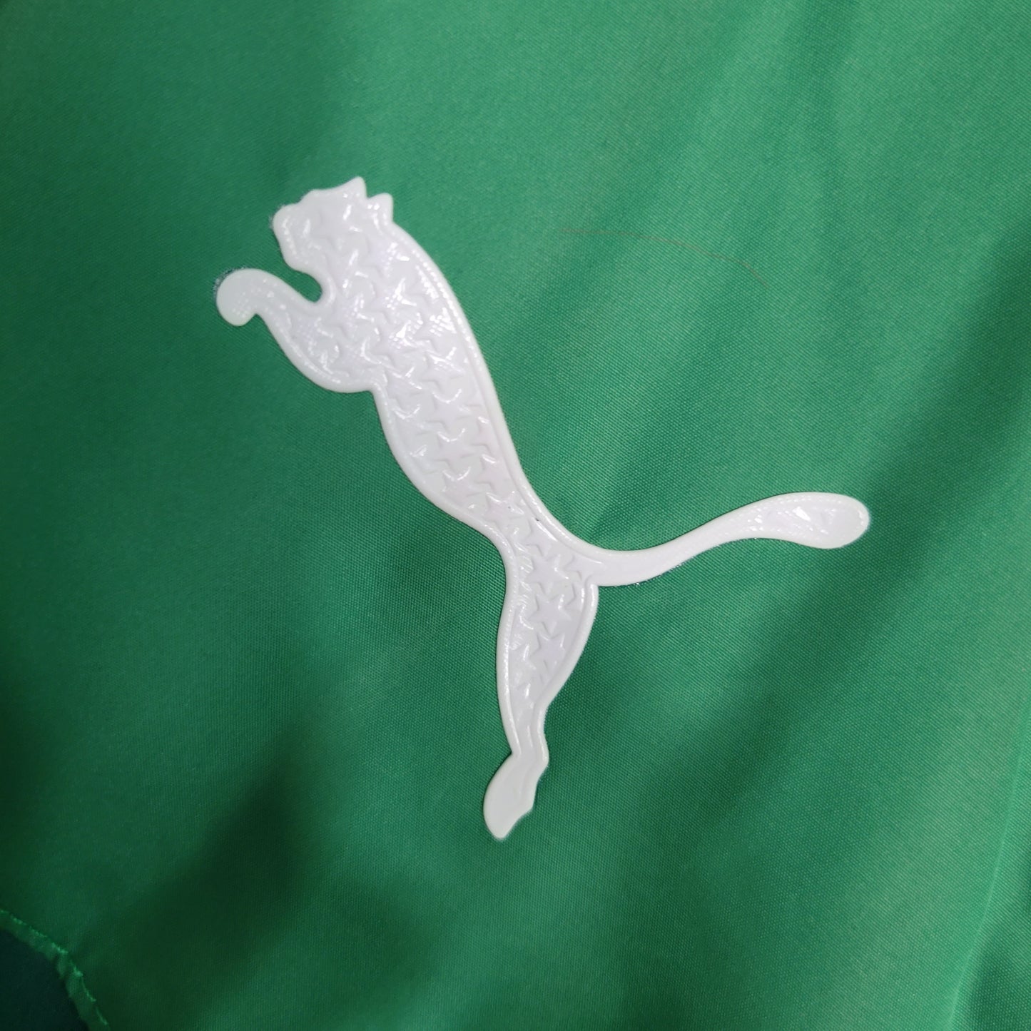 Palmeiras 23/24 Windbreaker (Player)
