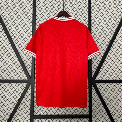 Denmark Euros 24/25 Home (Fan), Back Side