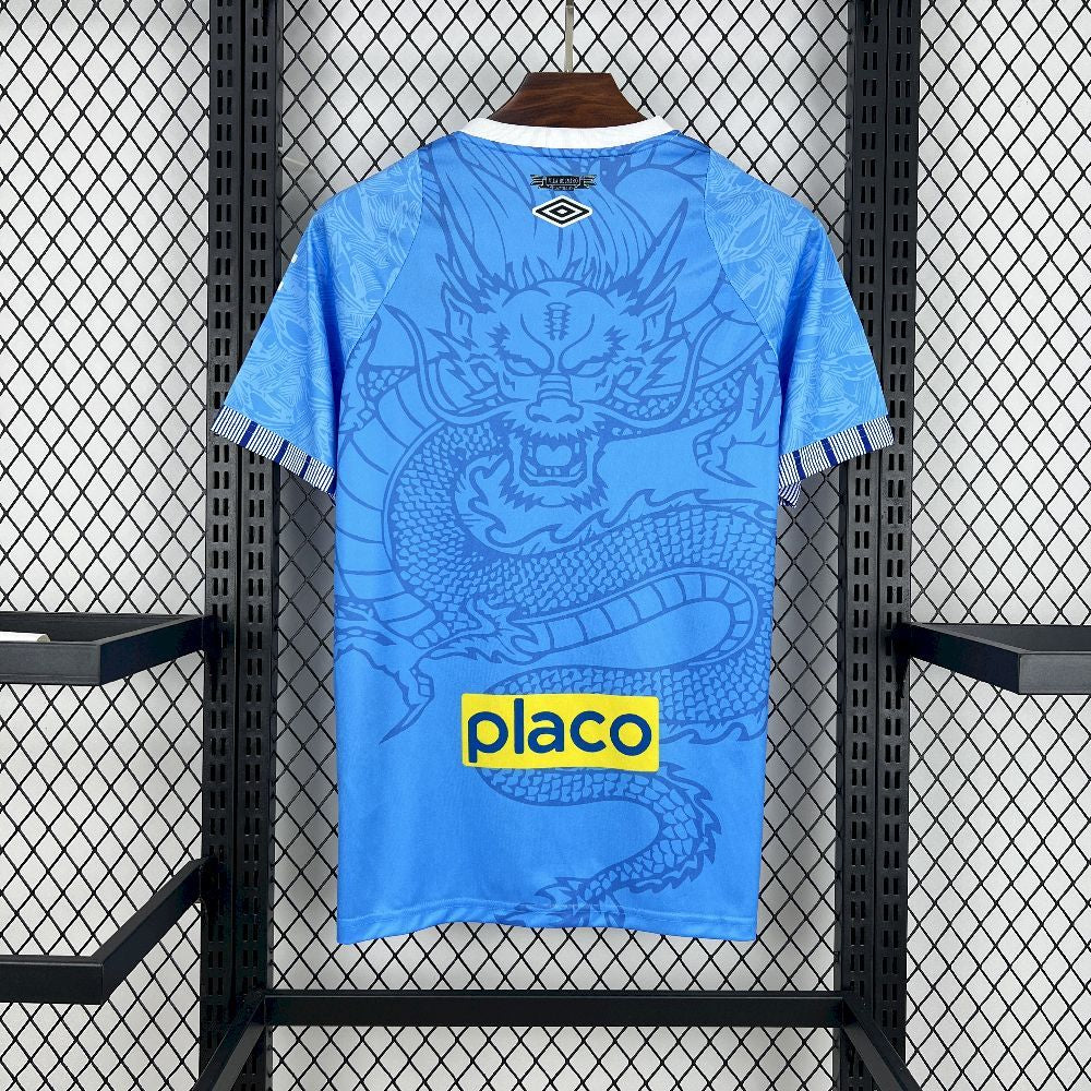 Santos 25/26 Blue Dragon Edition (Fan)
