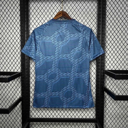 Santos 24/25 Limited Edition (Fan)
