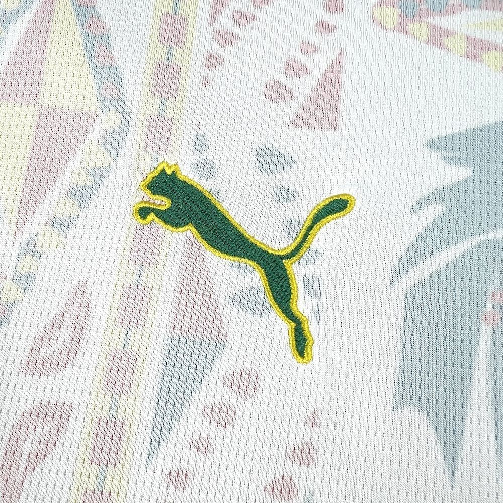 Senegal World Cup 2026 Home (Fan)