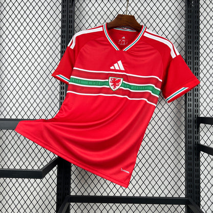 Wales World Cup 2026 Home (Fan)