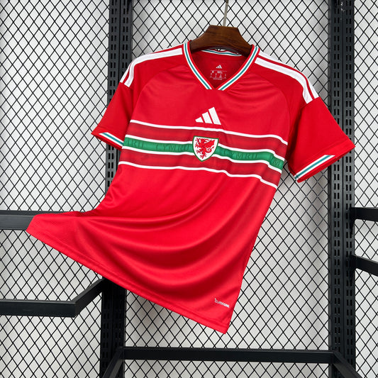 Wales World Cup 2026 Home (Fan)