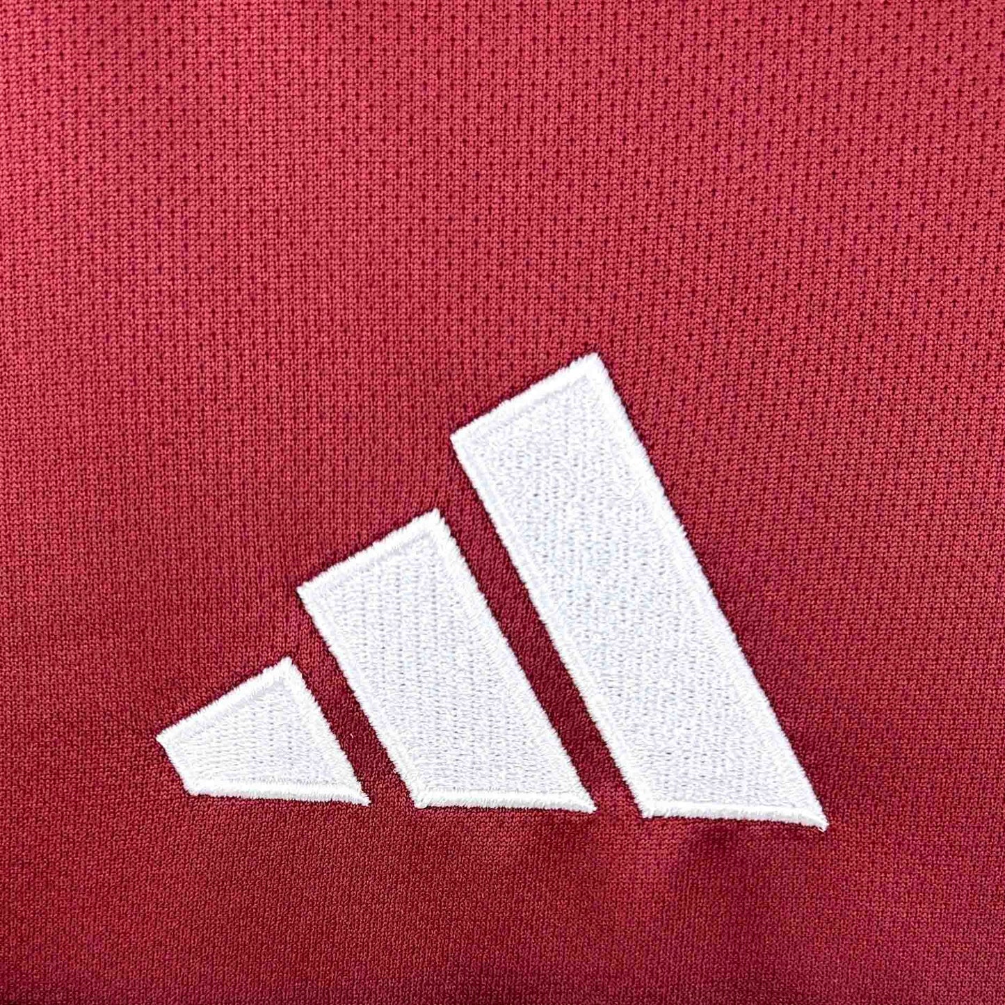Qatar World Cup 2026 Home (Fan)