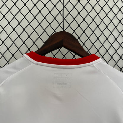 Venezuela Copa America 24/25 Away (Fan), Detail