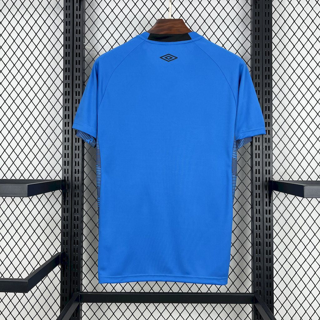 Santos 25/26 Blue Goalkeeper Kit (Fan)
