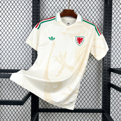 Wales World Cup 2026 Away (Fan)