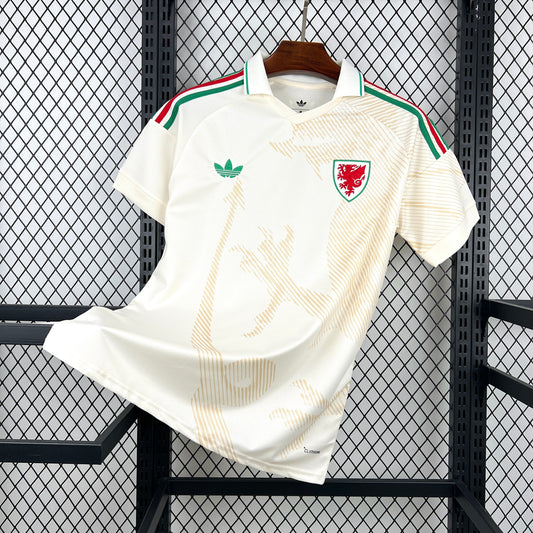 Wales World Cup 2026 Away (Fan)
