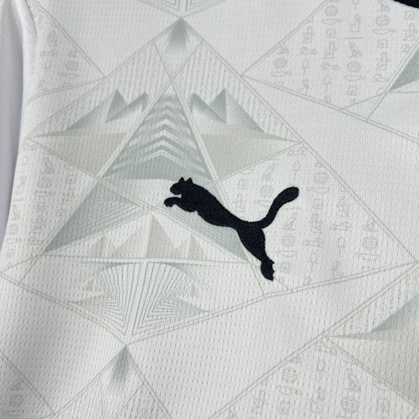 Egypt World Cup 2026 Away (Fan)