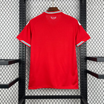 Wales World Cup 2026 Home (Fan)