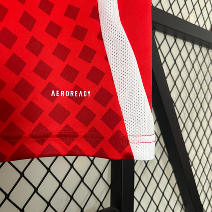 Chile Copa America 24/25 Home (Fan), Close-Up