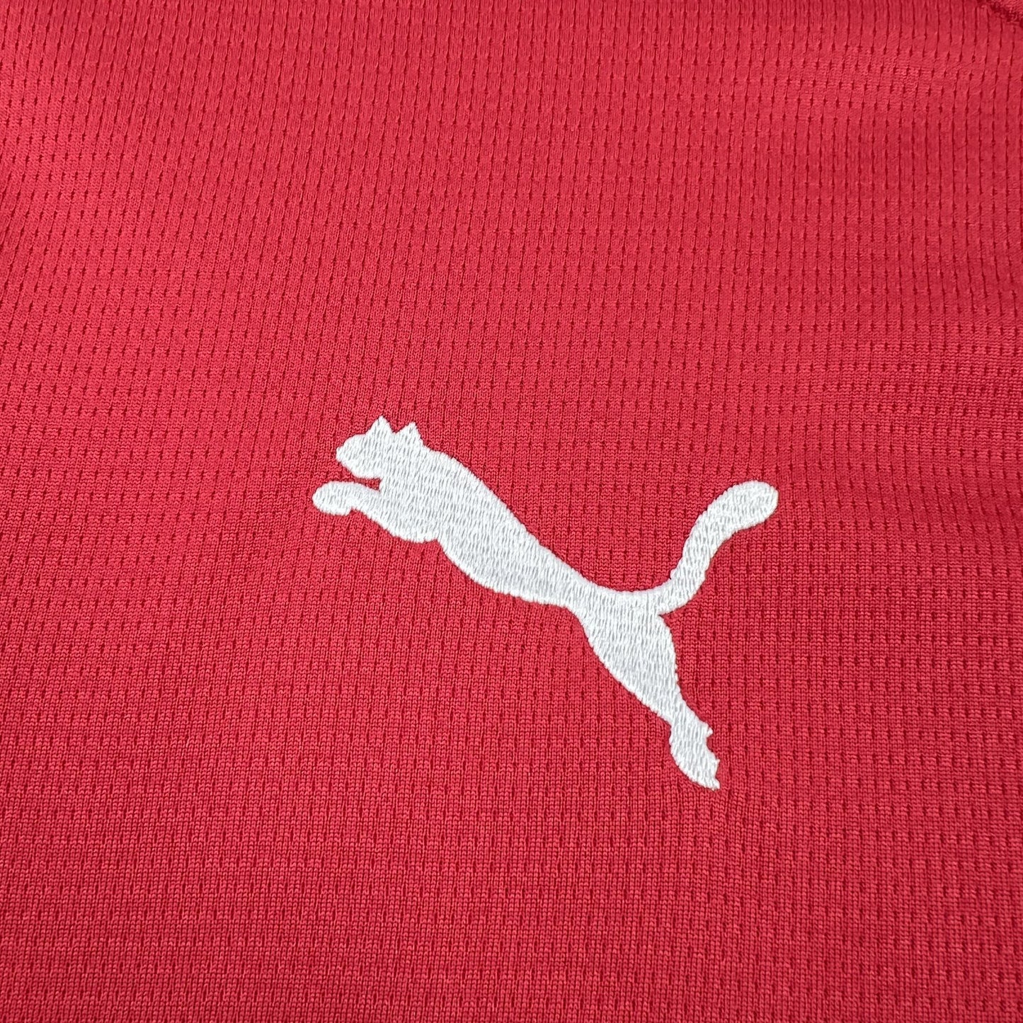 Czech Republic World Cup 2026 Home (Fan)