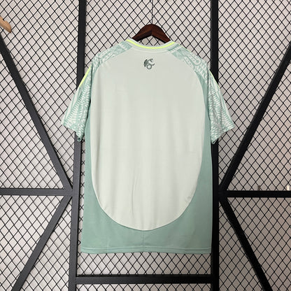 Mexico Copa America 24/25 Away (Fan), Back Side