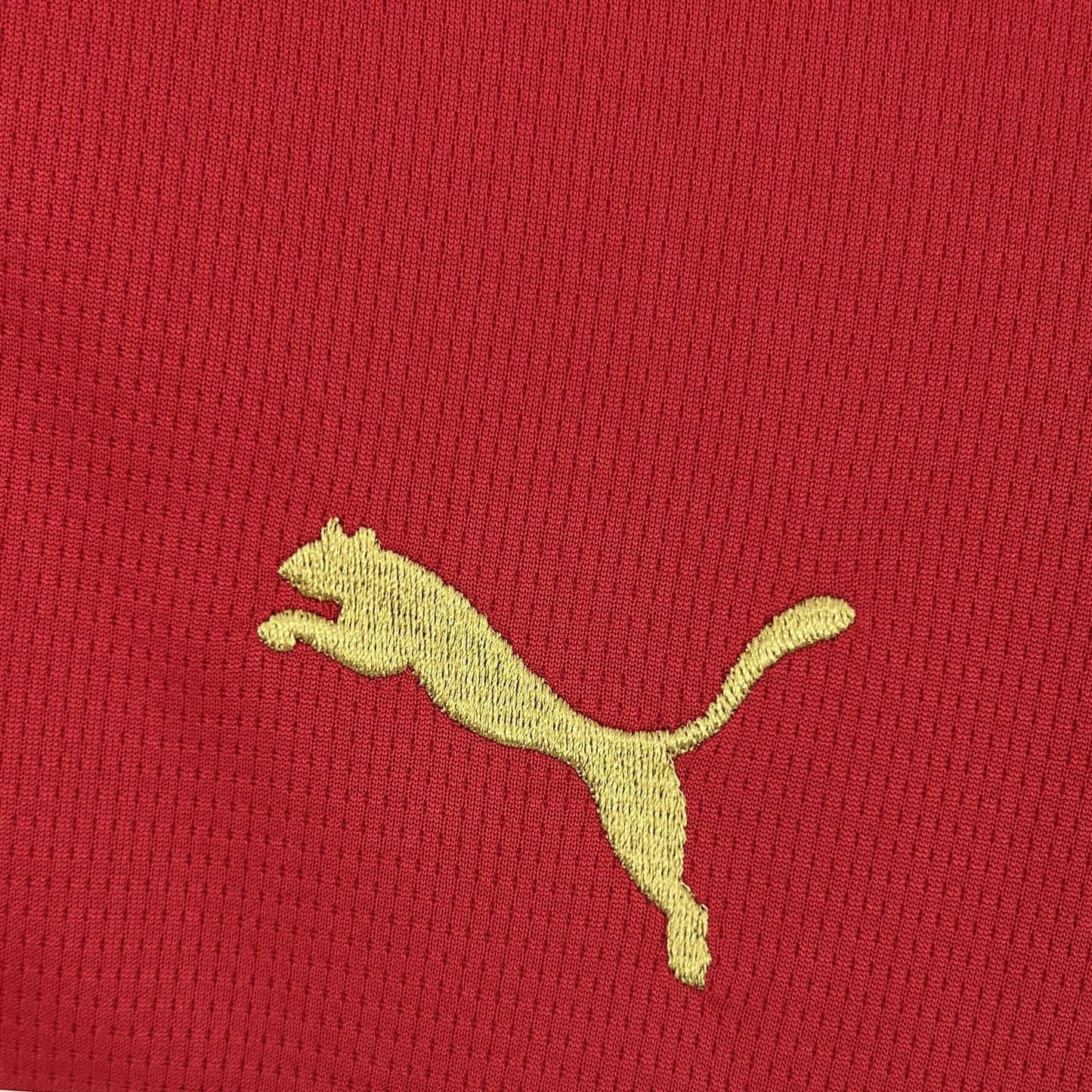 Morocco World Cup 2026 Home (Fan)