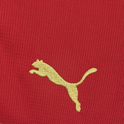 Morocco World Cup 2026 Home (Fan)